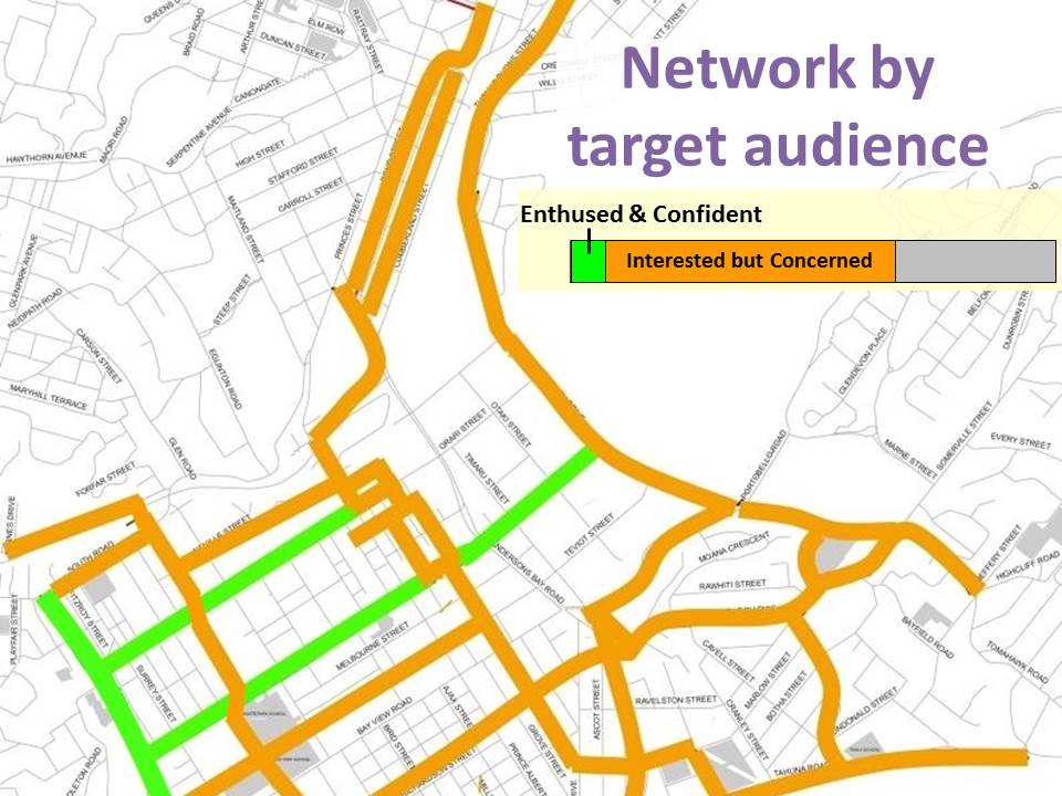 South Dunedin network