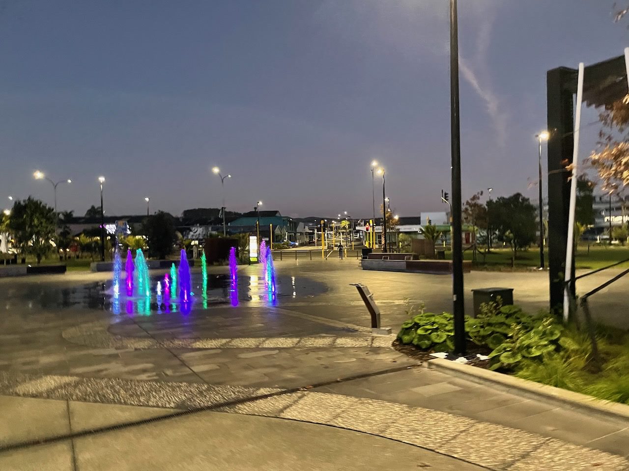 Pūtahi Park showing water fountain lit up at night