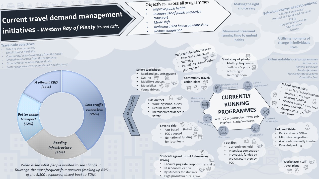 TDM StoryMap Infographic 