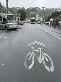 A Wellington street on a wet day