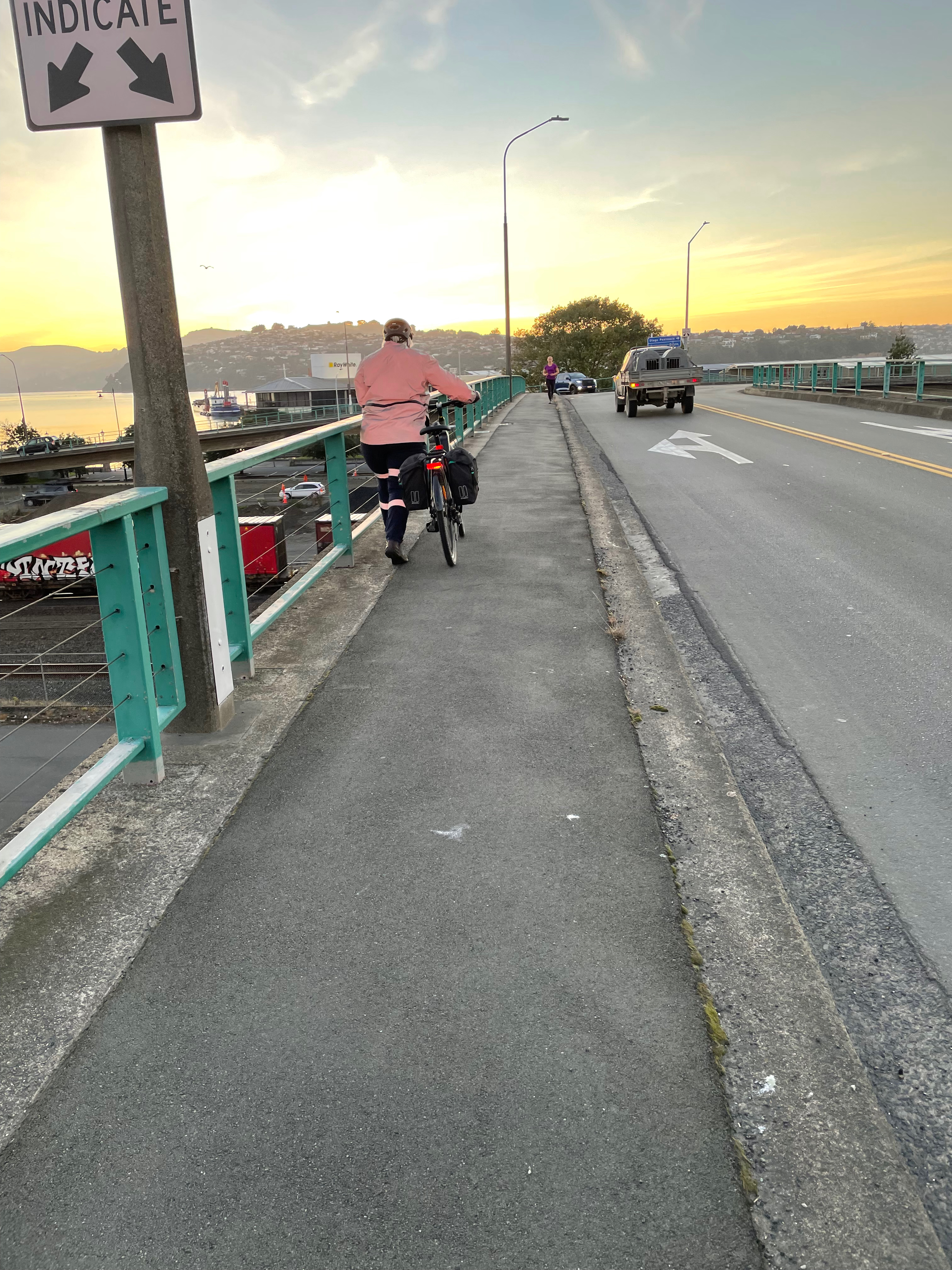 Cyclist on overbridge in Dunedin