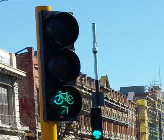 Directional cycle signal head