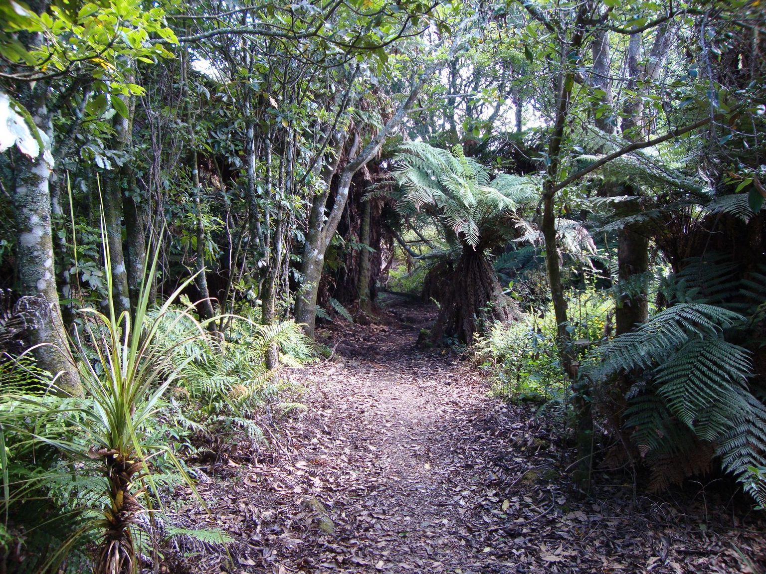 Waikato River trails