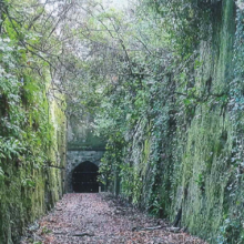 Caversham Tunnel Entrance