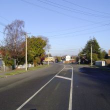 Swanns Road median strip.