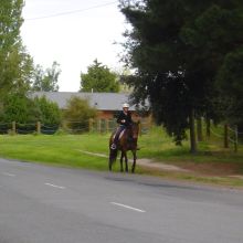Horse and rider using Hussley Road.