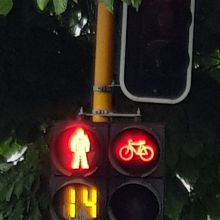 traffic light - pedestrian - red light