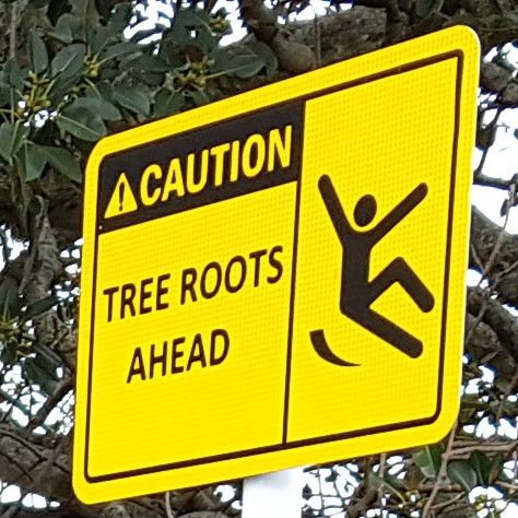 Caution Tree Roots Ahead sign