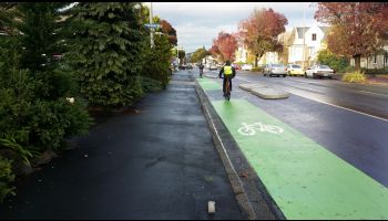 Painted cycle lane in Dunedin.
