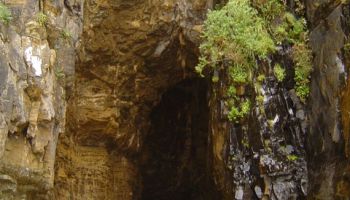 The Catlins, Cathedral Caves.