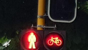 traffic light - pedestrian - red light
